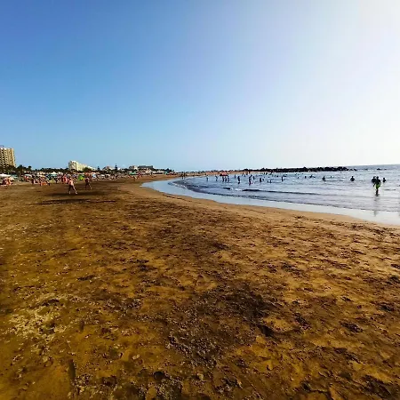 Stunning Aparment In Front Of Las Americas Beach Appartement *